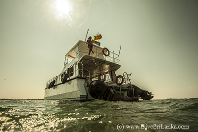 Kalpitiya Discovery Diving Cey Wave